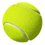 Goditi i tornei del Grande Slam, la Coppa Davis, gli eventi ATP e WTA su Winnita Casino