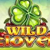 Wild slot with powerful symbols and big winning potential at Winita Casino